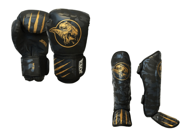 Joya Kinder Dino Kickboks Set Goud